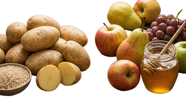 Dual-Transport System